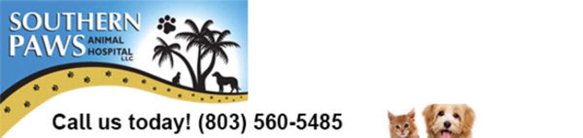 Images Southern Paws Animal Hospital