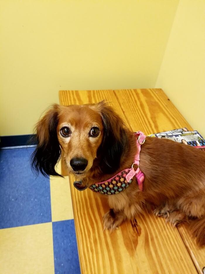 Images Southern Paws Animal Hospital