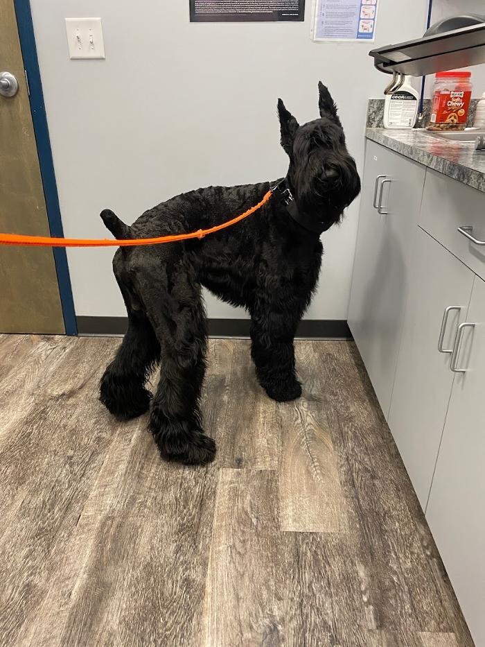 Images Southern Paws Animal Hospital