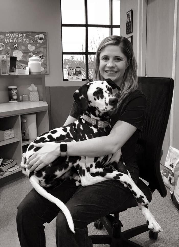 Images Gentle Doctor Animal Hospital