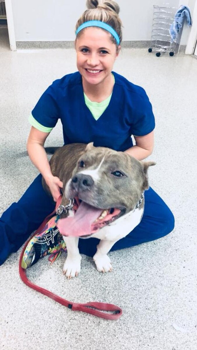 Images Gentle Doctor Animal Hospital