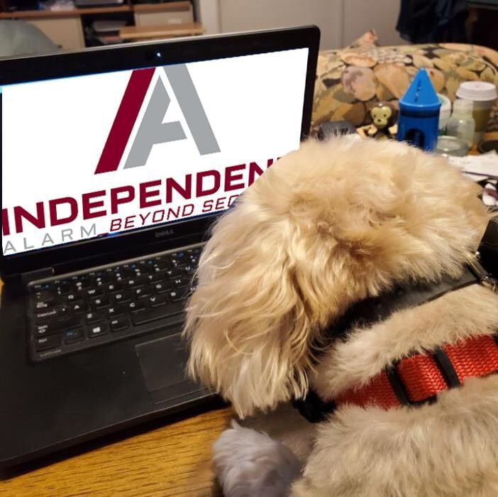 Images Independent Alarm