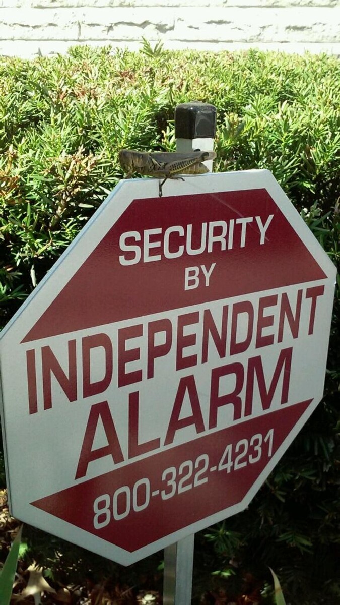 Images Independent Alarm