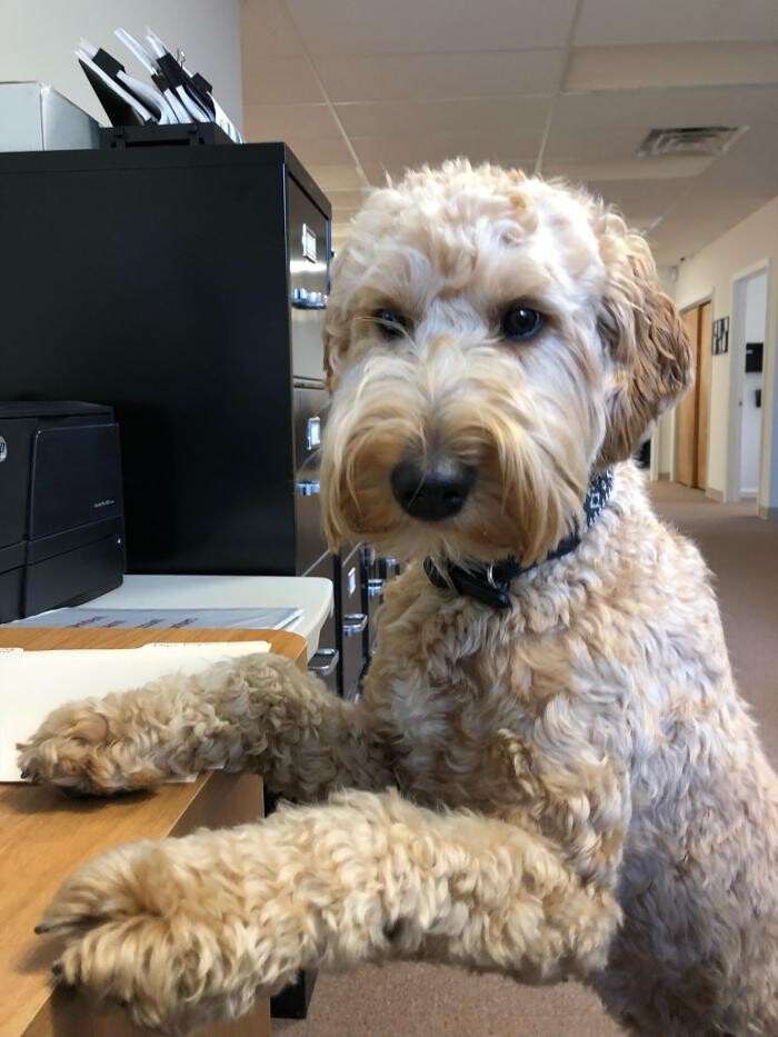 Images Independent Alarm