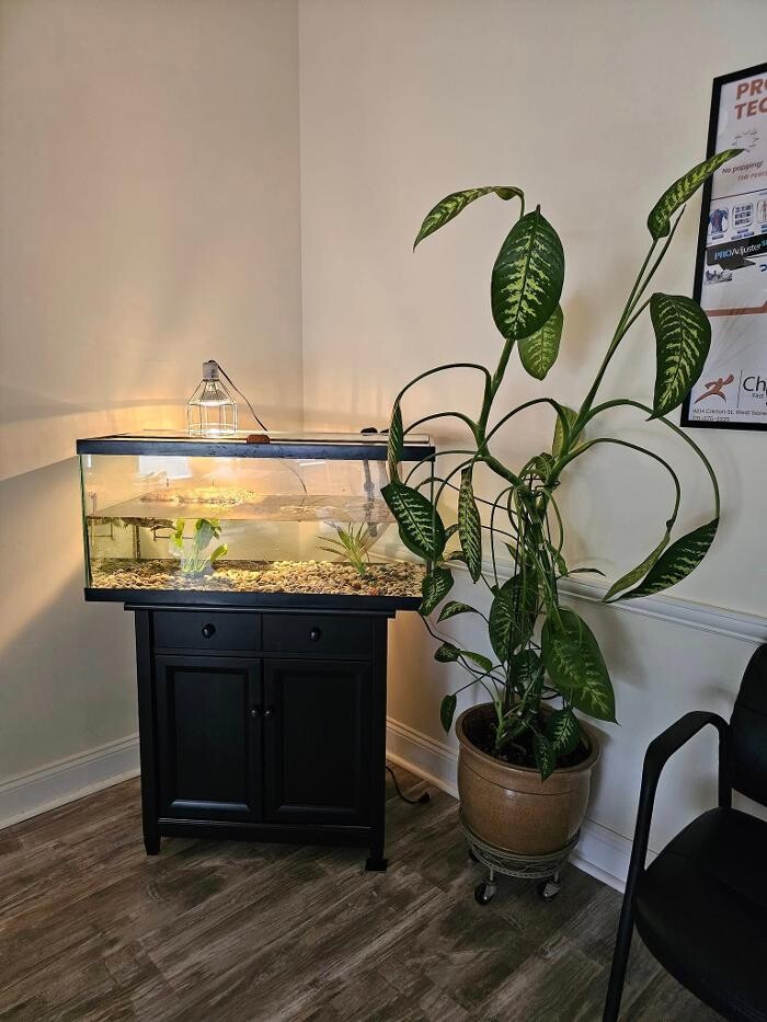 Images Chiro First Wellness Center