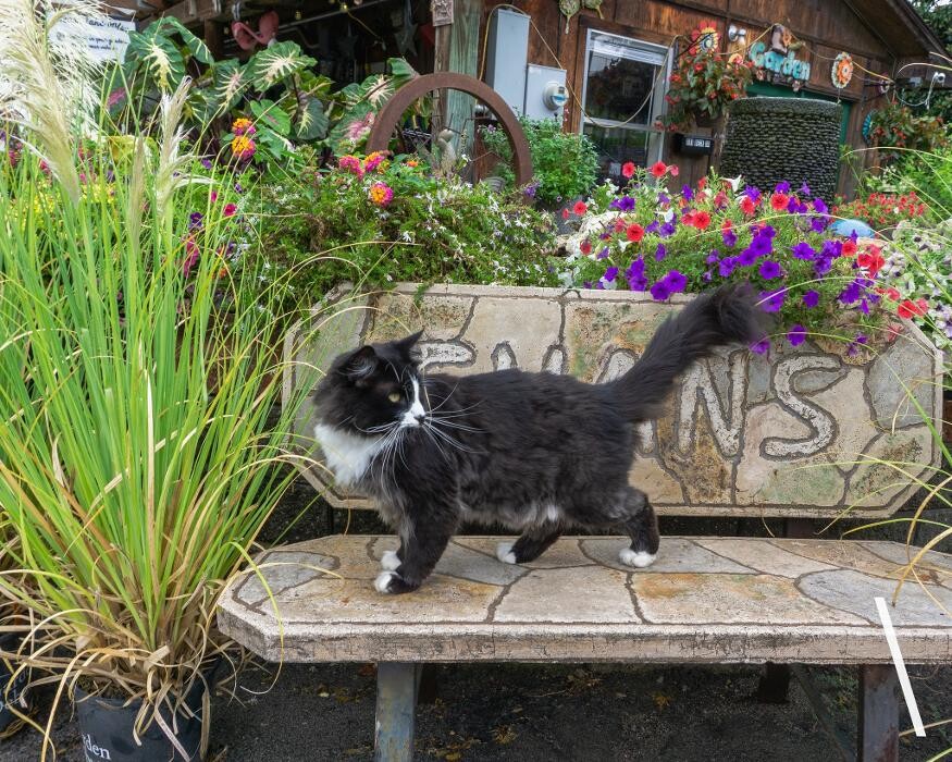 Images Evans Nursery LLC