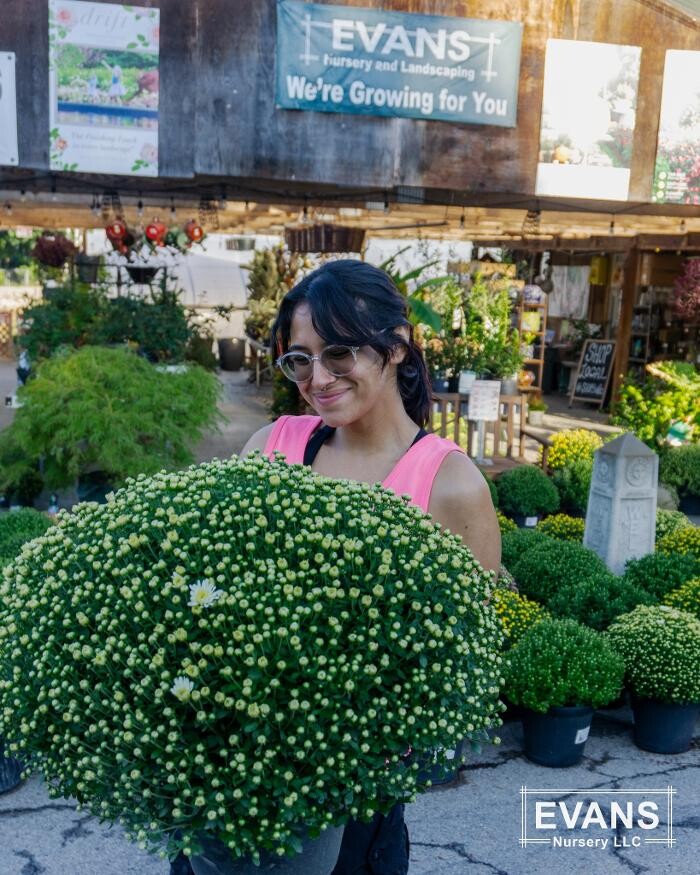 Images Evans Nursery LLC