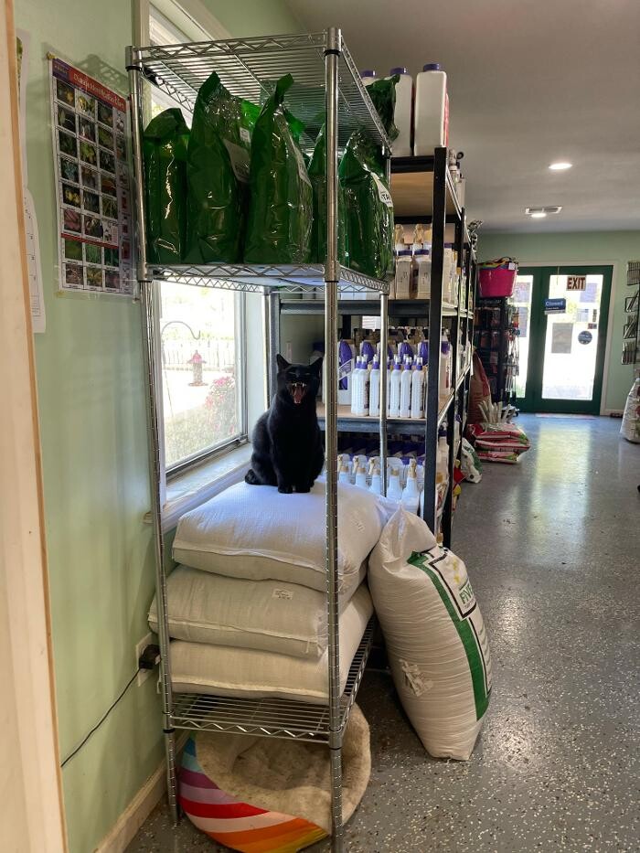 Images Evans Nursery LLC