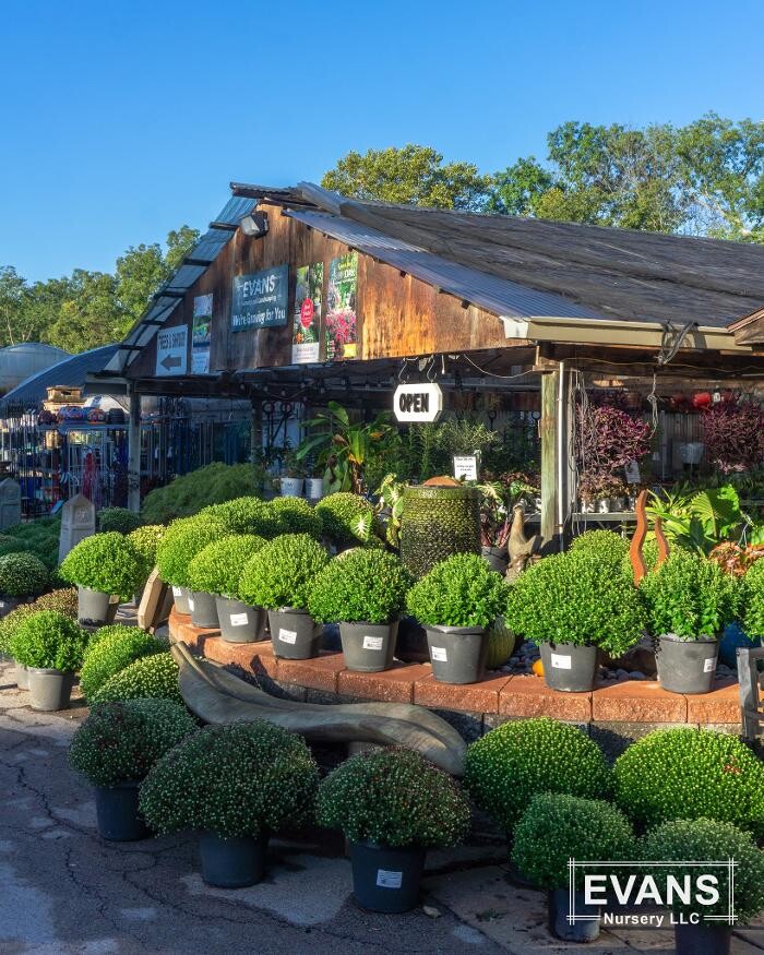 Images Evans Nursery LLC
