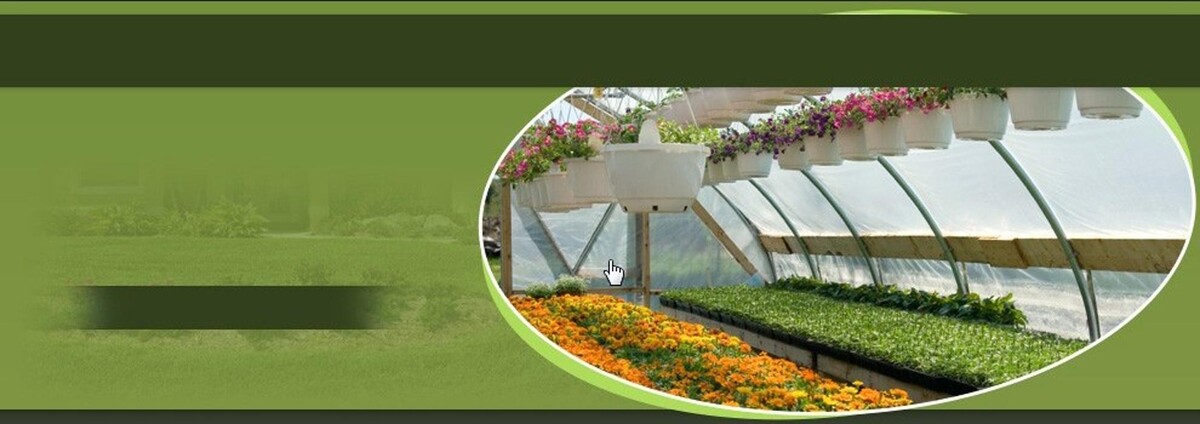 Images Evans Nursery LLC