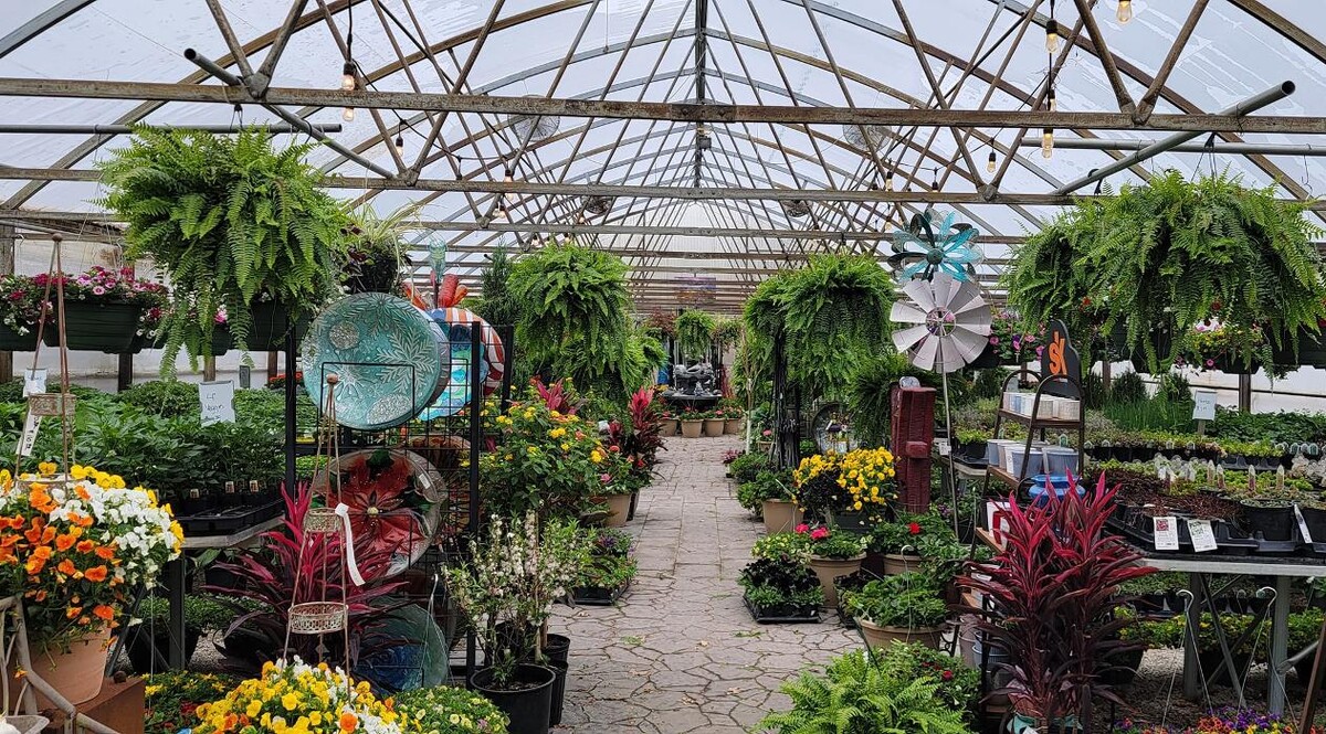 Images Evans Nursery LLC