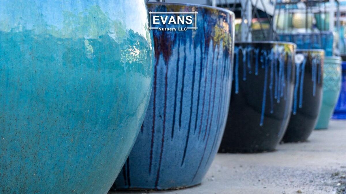 Images Evans Nursery LLC