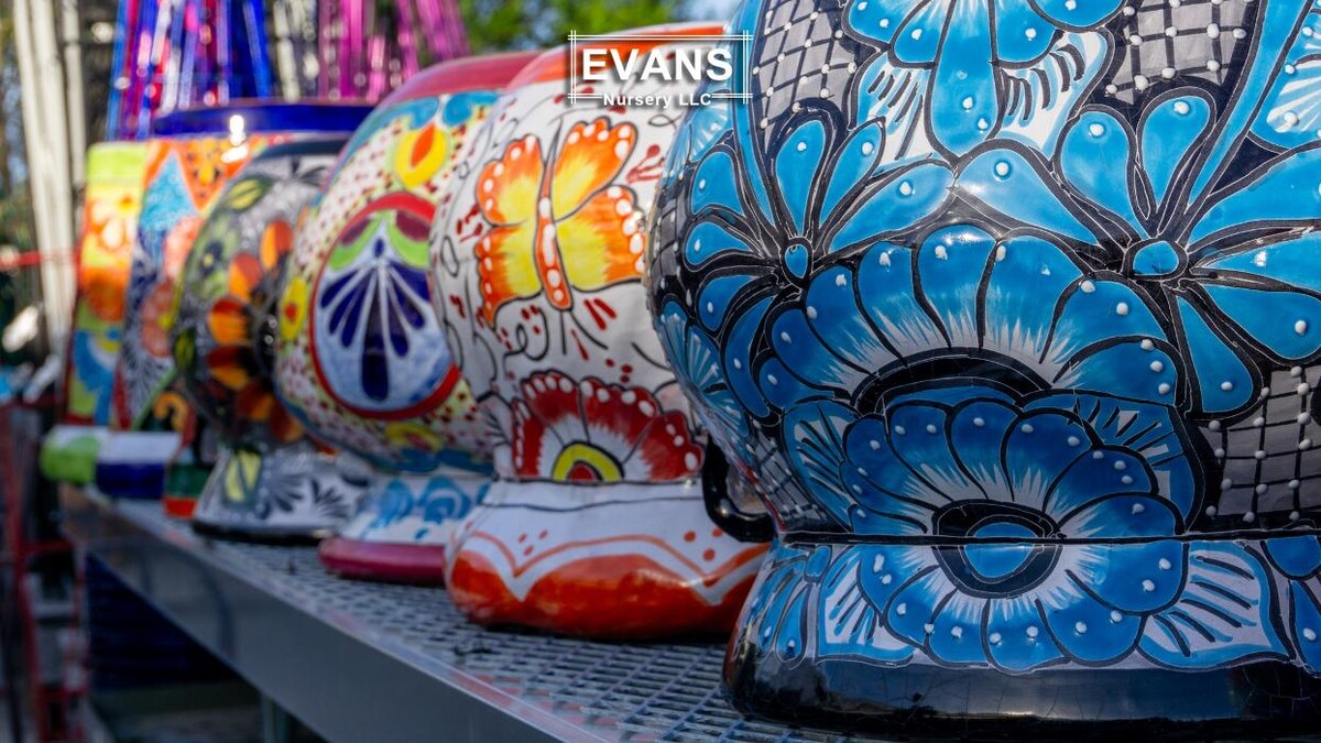 Images Evans Nursery LLC