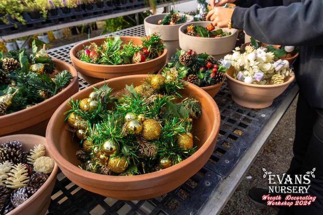 Images Evans Nursery LLC