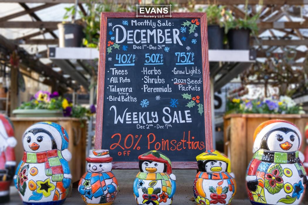 Images Evans Nursery LLC