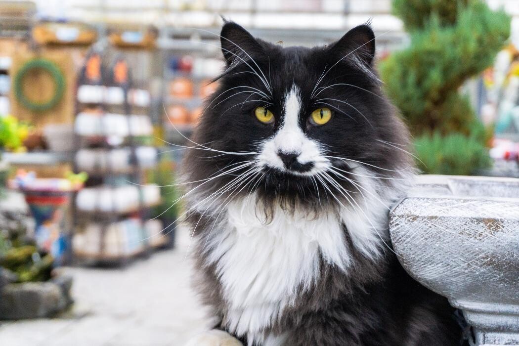 Images Evans Nursery LLC