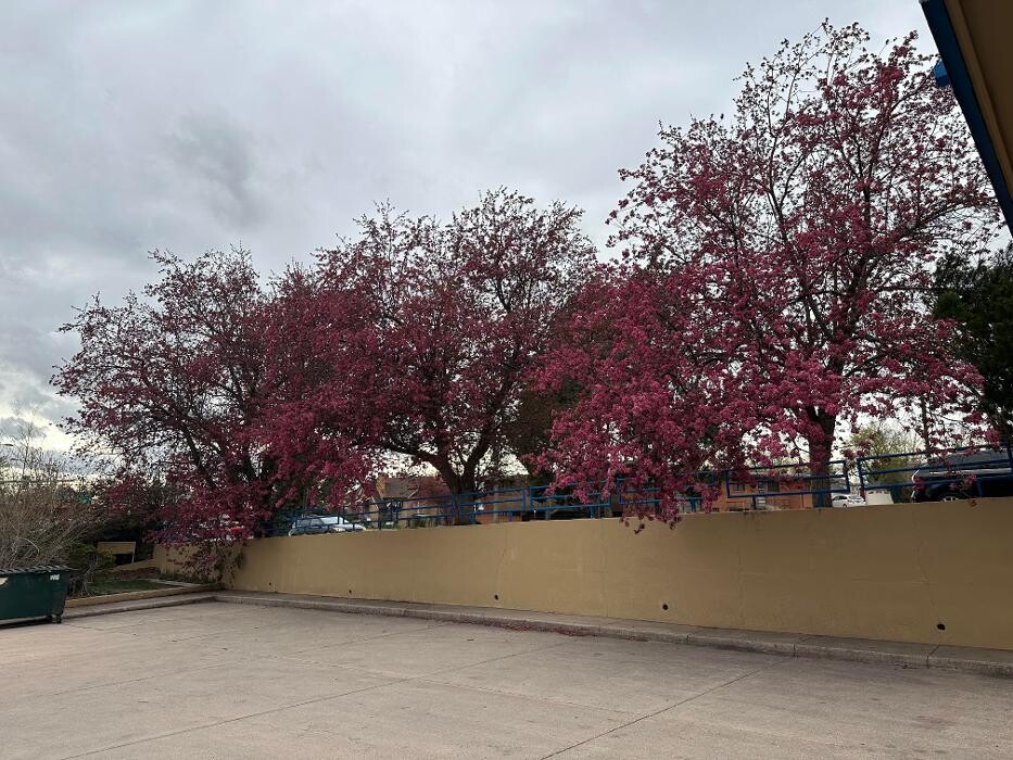 Images Tri-State Veterinary Clinic