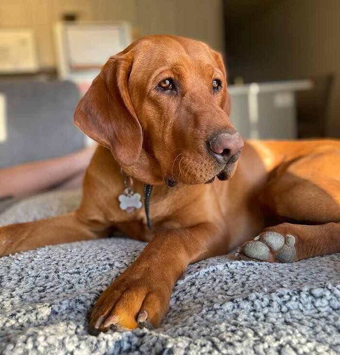 Images Tri-State Veterinary Clinic