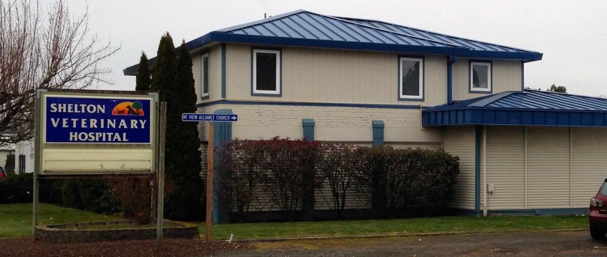 Images Shelton Veterinary Hospital