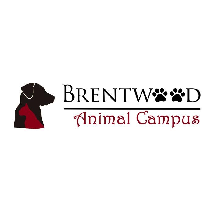 Images Brentwood Animal Campus
