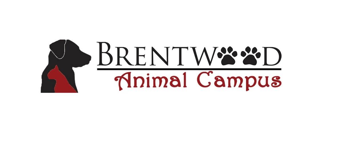 Images Brentwood Animal Campus