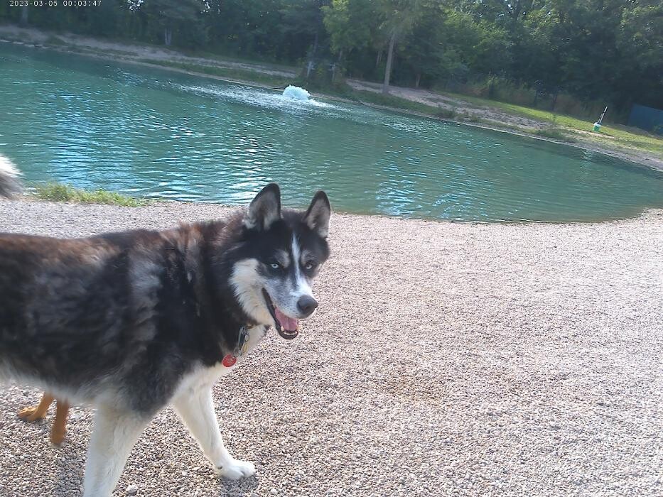 Images Brentwood Animal Campus