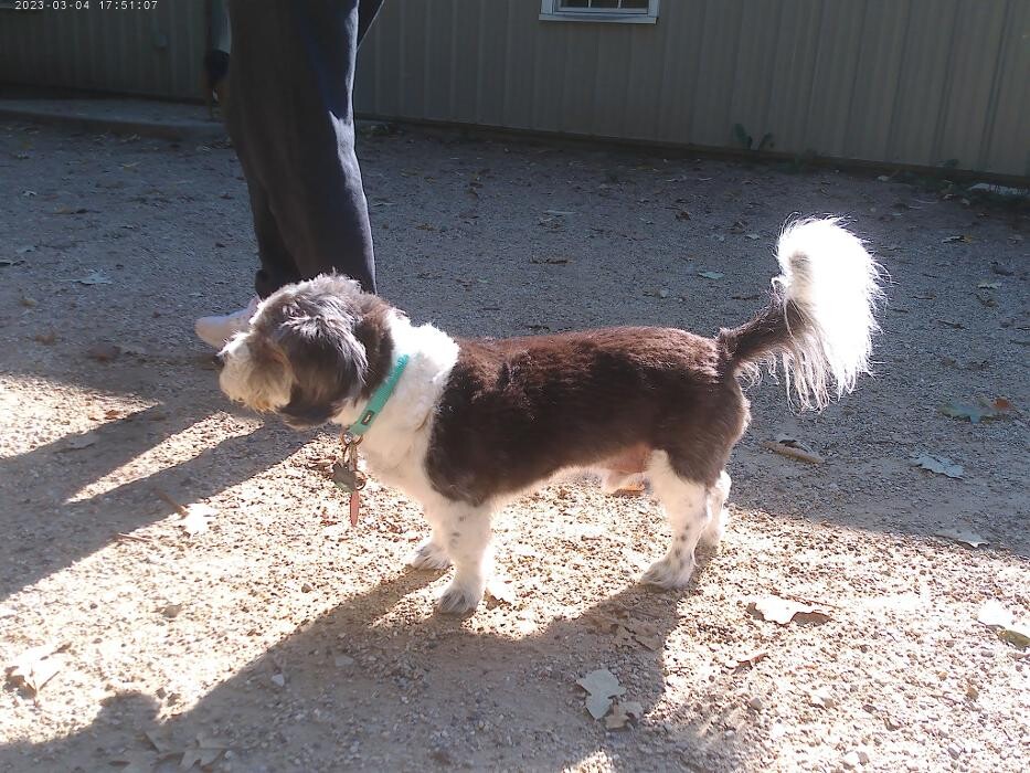 Images Brentwood Animal Campus