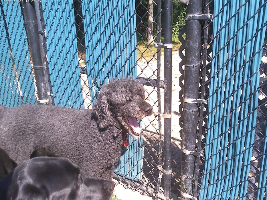 Images Brentwood Animal Campus