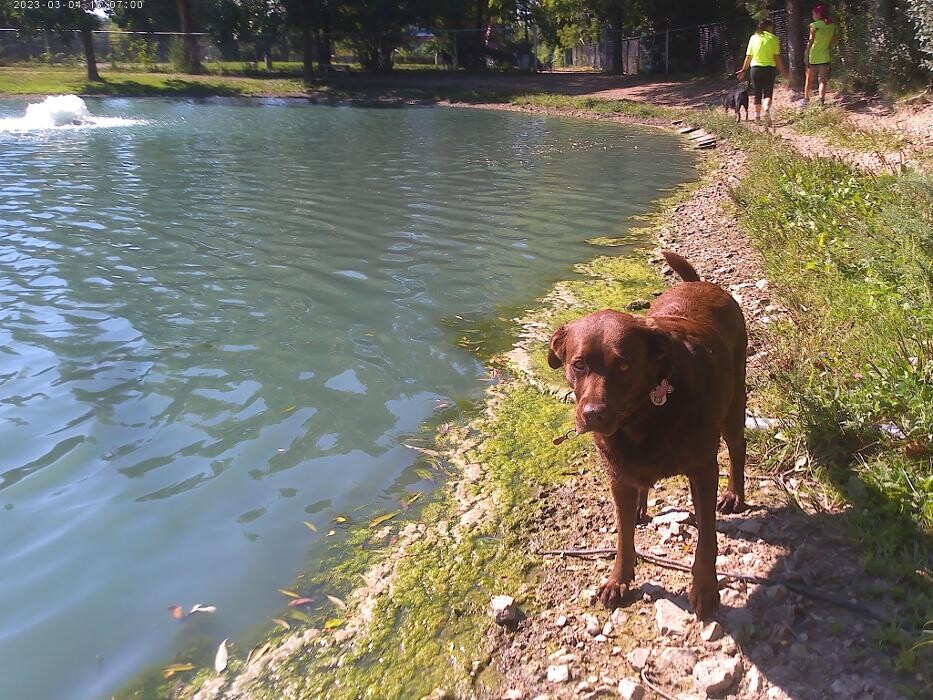 Images Brentwood Animal Campus