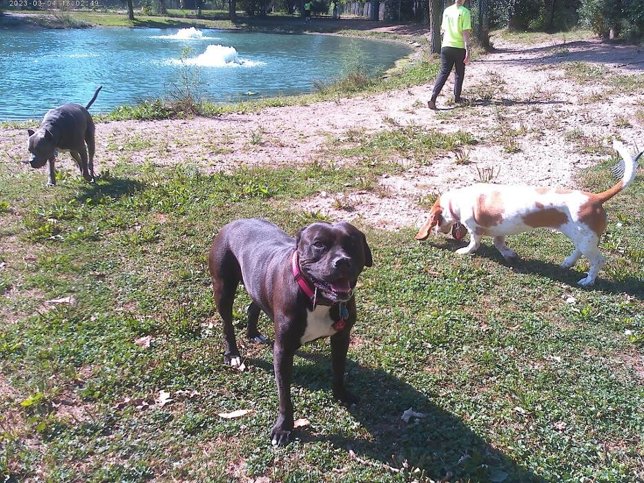 Images Brentwood Animal Campus