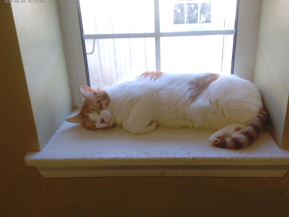 Images Brentwood Animal Campus