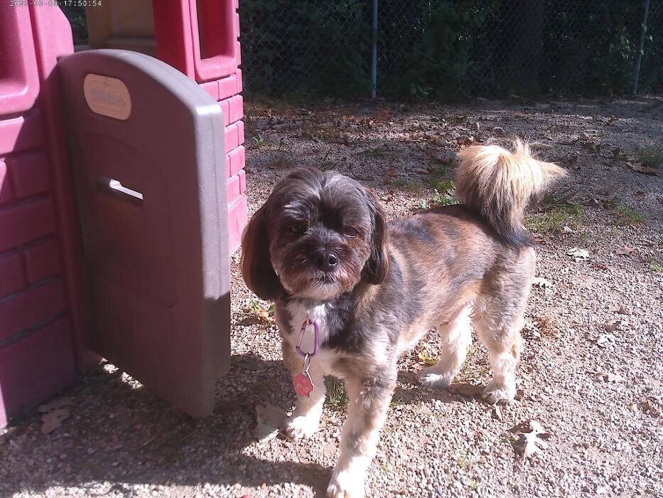 Images Brentwood Animal Campus