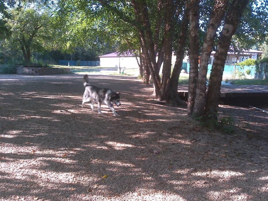 Images Brentwood Animal Campus