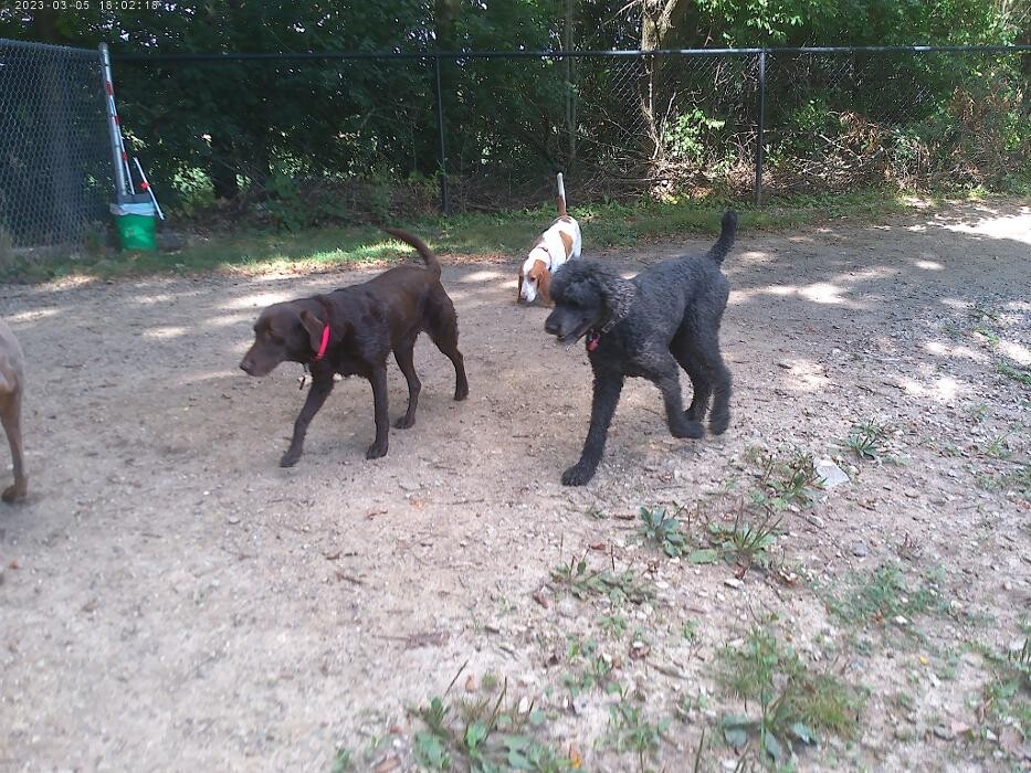 Images Brentwood Animal Campus