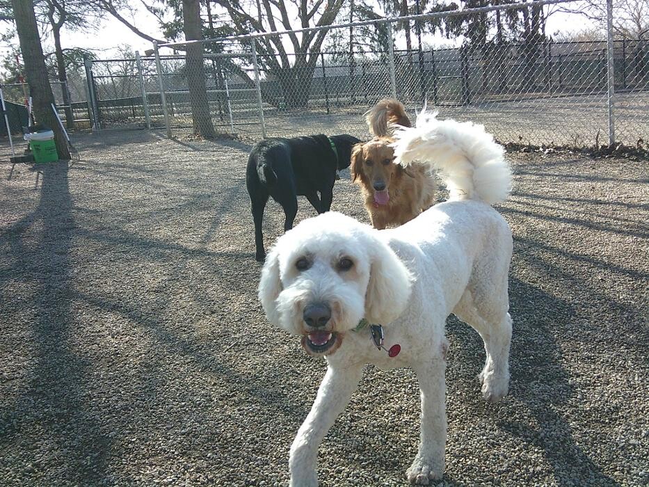 Images Brentwood Animal Campus