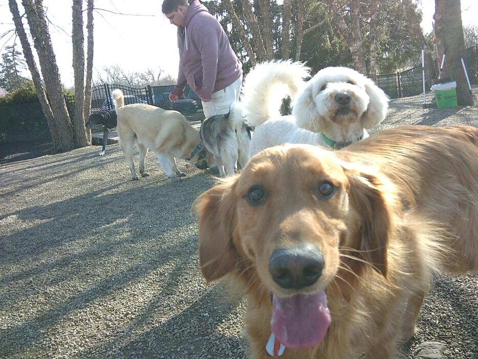 Images Brentwood Animal Campus