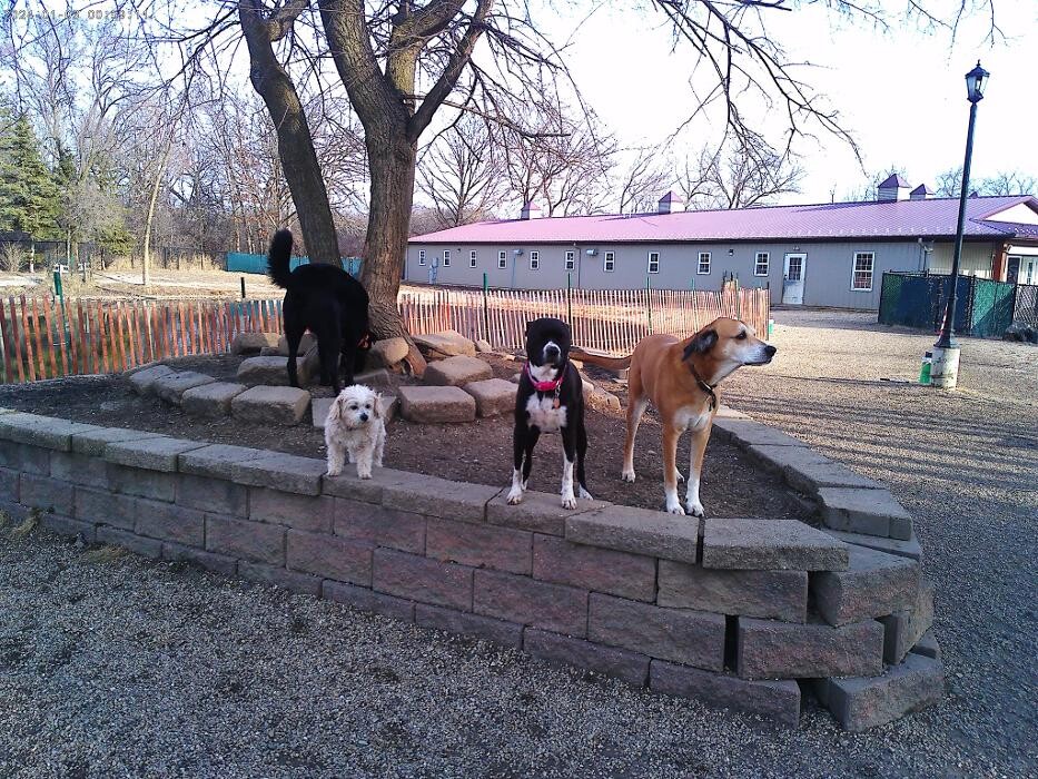 Images Brentwood Animal Campus
