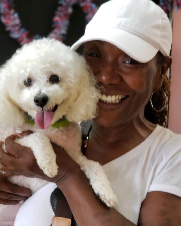 Images Fido Fido Dog Daycare & Boarding