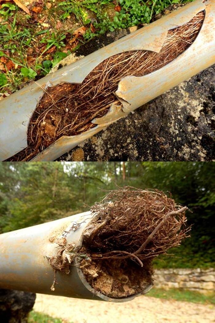 Images Austin Drain Cleaning Company