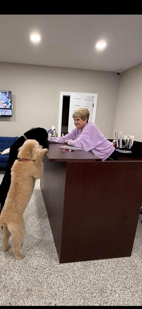 Images City Air Systems, Inc.