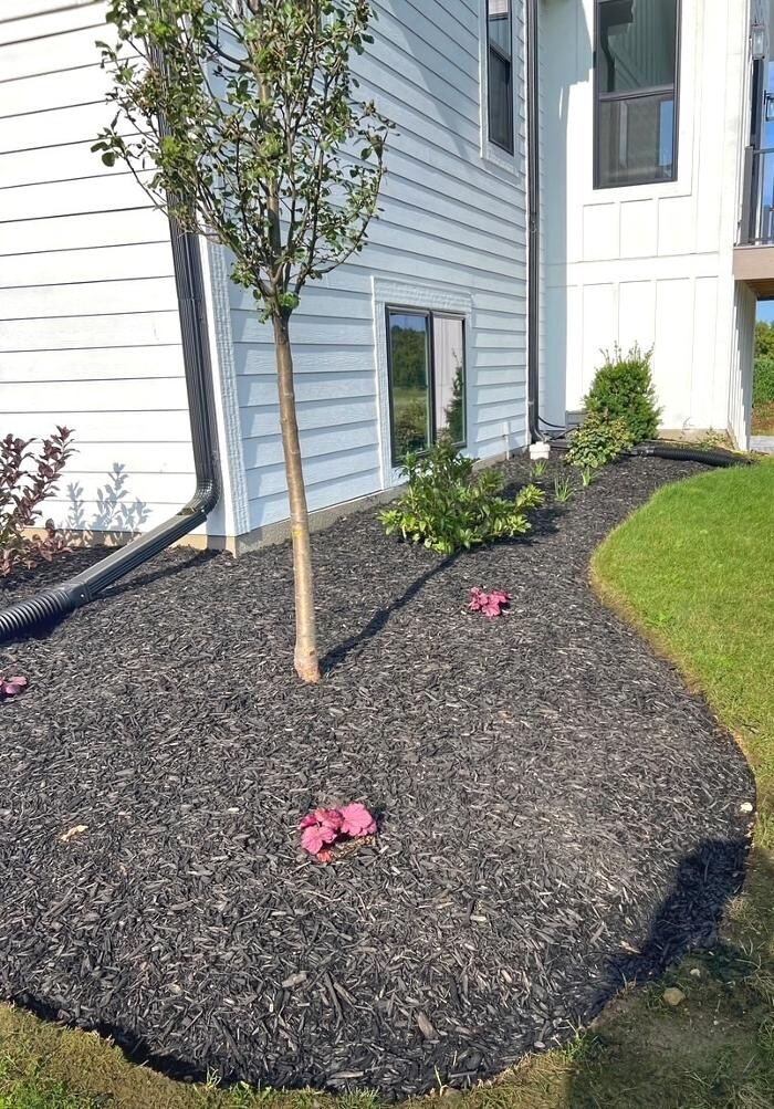 Images Spring Gardens Landscaping & Horticultural Services, Inc.