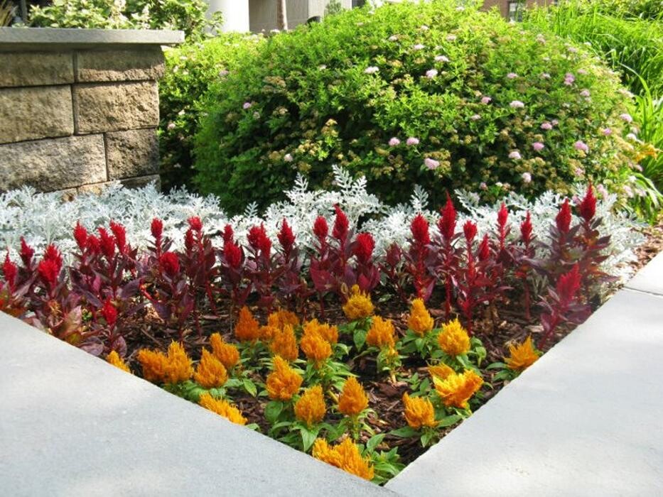 Images Spring Gardens Landscaping & Horticultural Services, Inc.