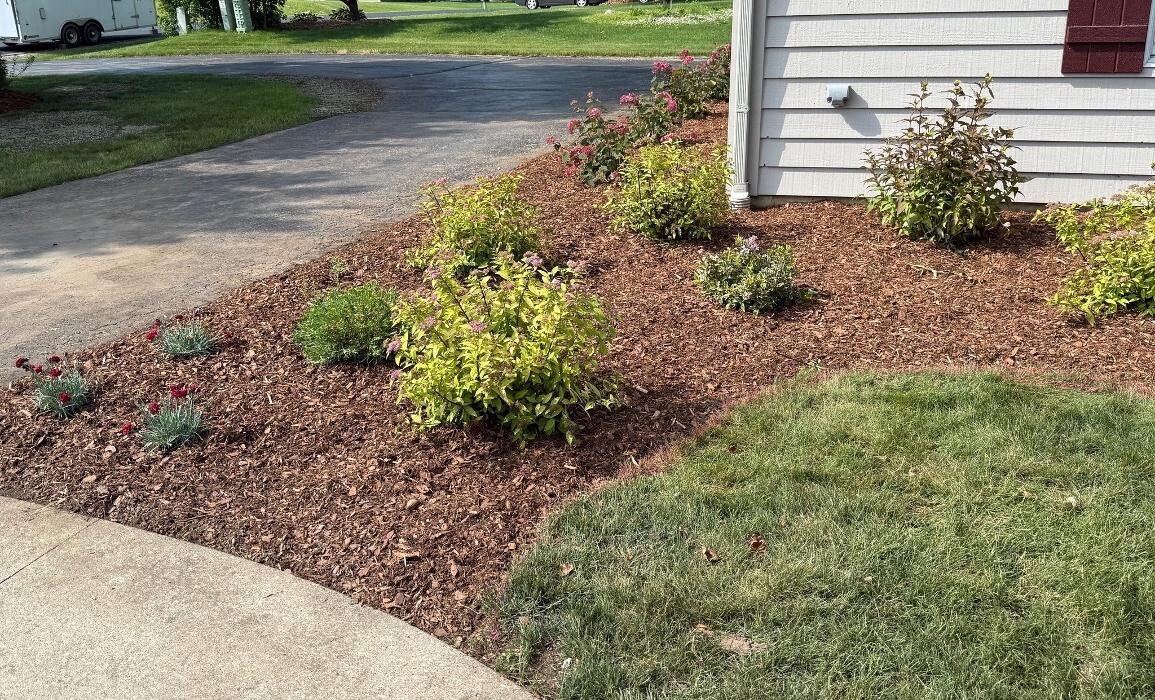 Images Spring Gardens Landscaping & Horticultural Services, Inc.