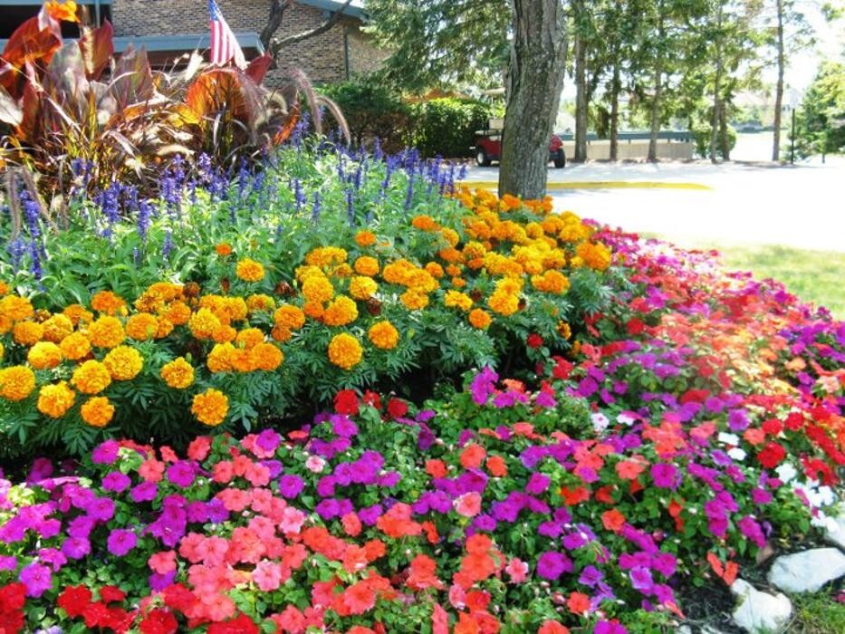 Images Spring Gardens Landscaping & Horticultural Services, Inc.