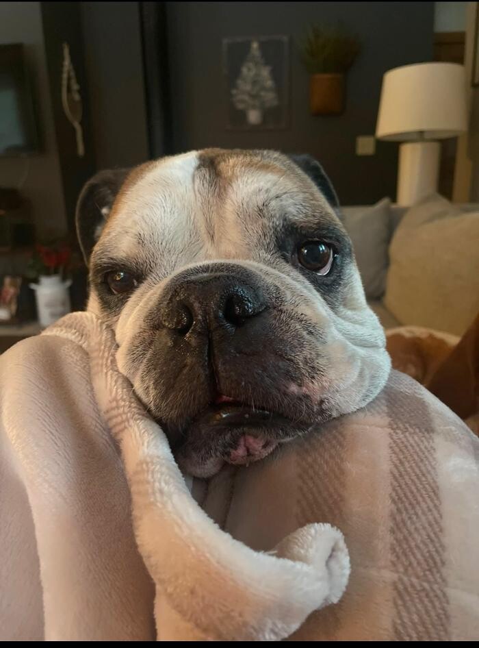 Images Maverick Pumping Service