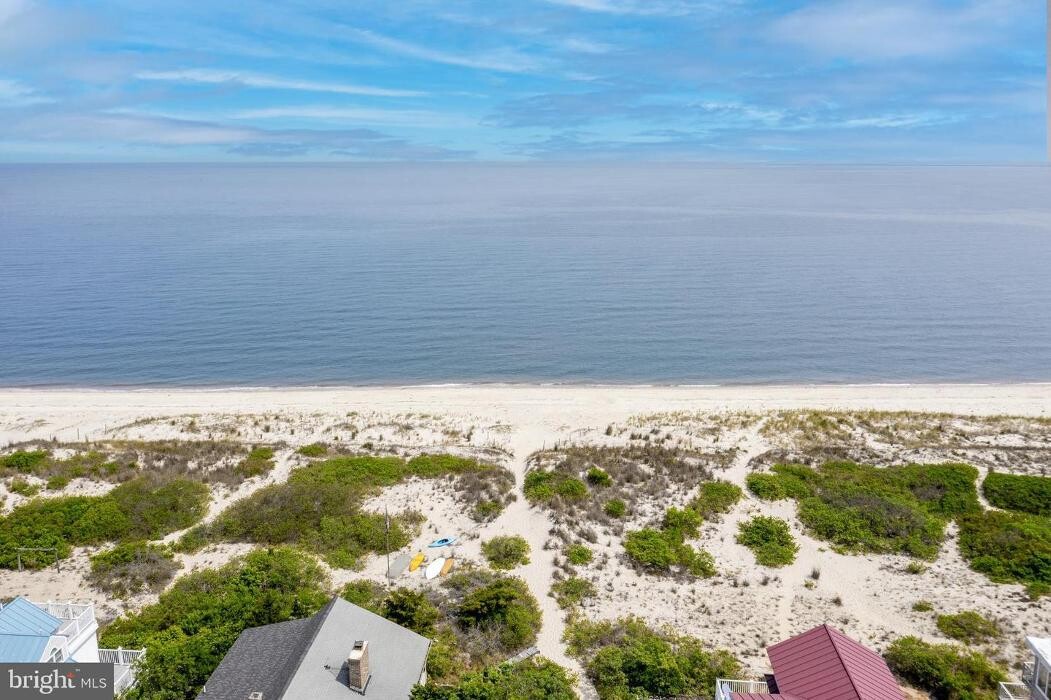 Images The Julie Gritton Team