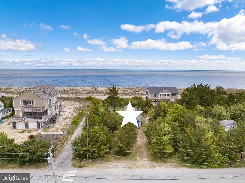 Images The Julie Gritton Team