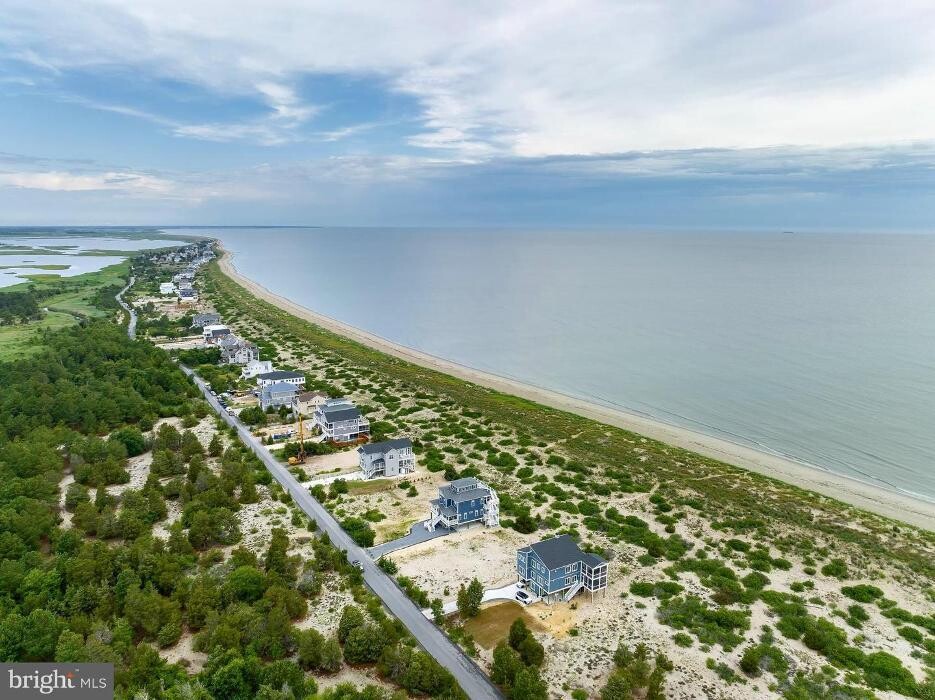 Images The Julie Gritton Team