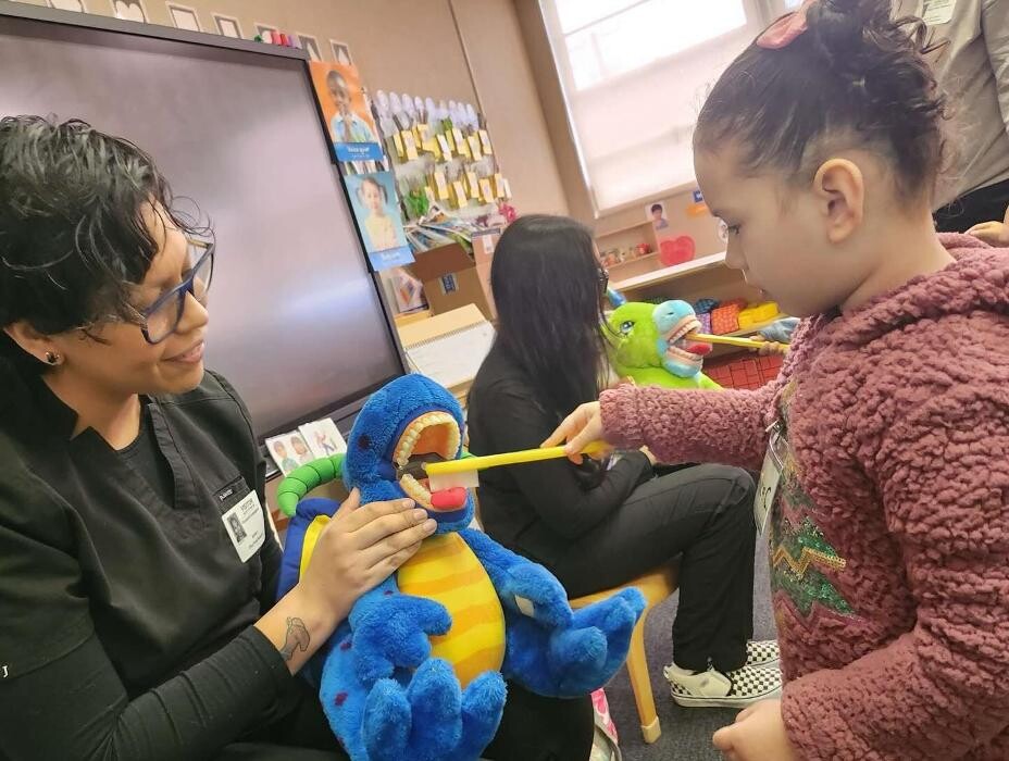 Images Jungle of Smiles Pediatric Dentistry