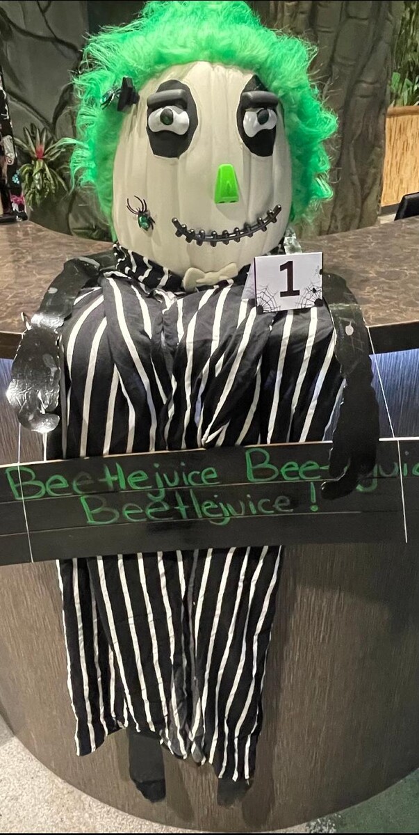 Images Jungle of Smiles Pediatric Dentistry